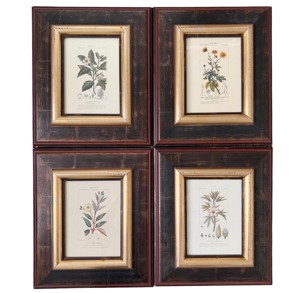 Botanical Vintage Prints Framed Set of 4 Vintage Style Wall Art Decor Gallery